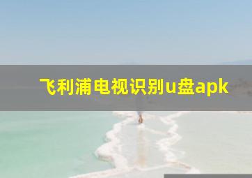 飞利浦电视识别u盘apk