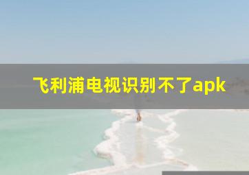 飞利浦电视识别不了apk