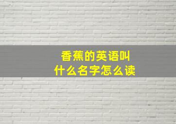 香蕉的英语叫什么名字怎么读