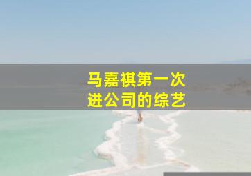 马嘉祺第一次进公司的综艺