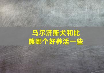 马尔济斯犬和比熊哪个好养活一些