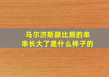 马尔济斯跟比熊的串串长大了是什么样子的