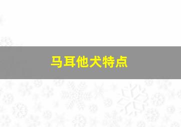 马耳他犬特点