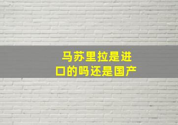 马苏里拉是进口的吗还是国产