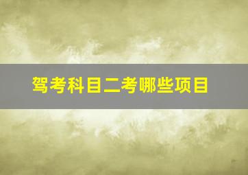 驾考科目二考哪些项目