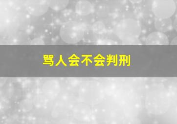 骂人会不会判刑