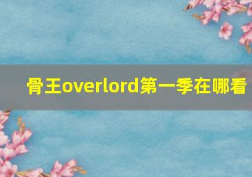 骨王overlord第一季在哪看