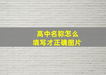 高中名称怎么填写才正确图片