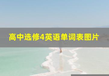 高中选修4英语单词表图片