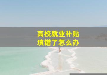 高校就业补贴填错了怎么办