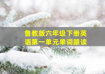 鲁教版六年级下册英语第一单元单词跟读