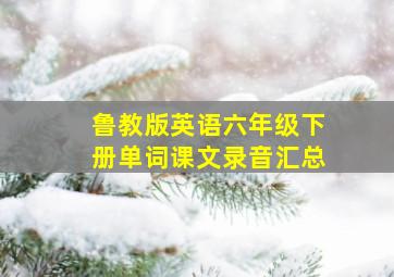 鲁教版英语六年级下册单词课文录音汇总