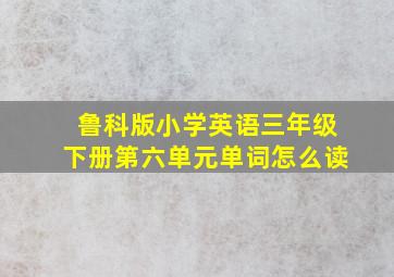 鲁科版小学英语三年级下册第六单元单词怎么读