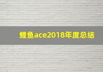 鲤鱼ace2018年度总结