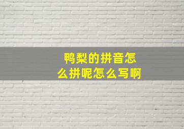 鸭梨的拼音怎么拼呢怎么写啊