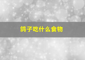 鸽子吃什么食物