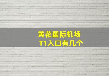 黄花国际机场T1入口有几个