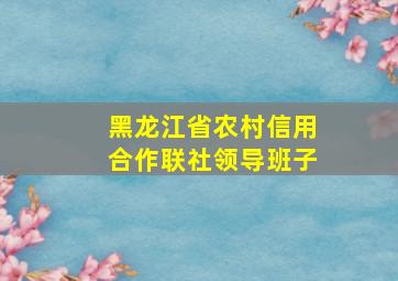 黑龙江省农村信用合作联社领导班子