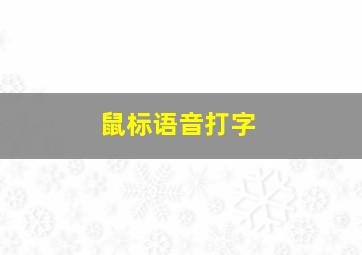 鼠标语音打字