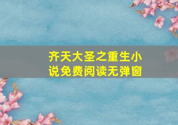 齐天大圣之重生小说免费阅读无弹窗