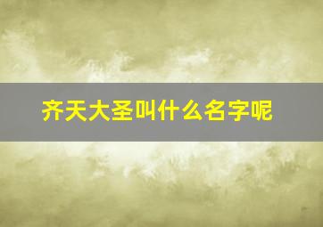 齐天大圣叫什么名字呢