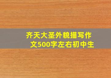 齐天大圣外貌描写作文500字左右初中生