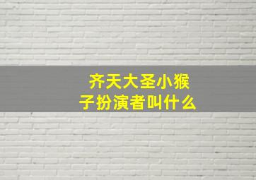 齐天大圣小猴子扮演者叫什么