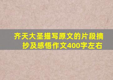 齐天大圣描写原文的片段摘抄及感悟作文400字左右