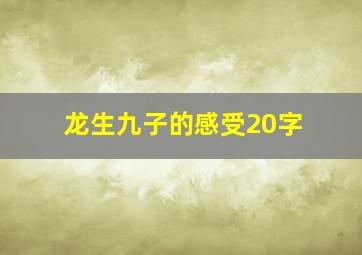 龙生九子的感受20字