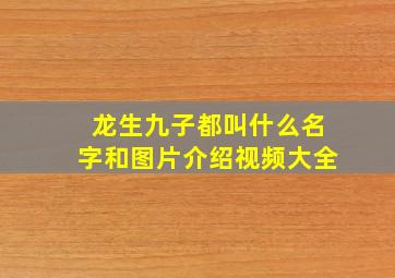 龙生九子都叫什么名字和图片介绍视频大全