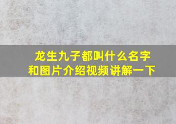 龙生九子都叫什么名字和图片介绍视频讲解一下