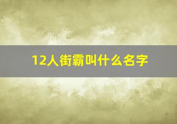 12人街霸叫什么名字