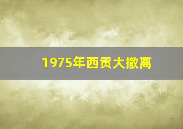 1975年西贡大撤离