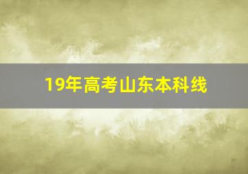 19年高考山东本科线