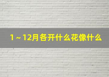 1～12月各开什么花像什么