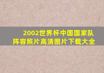 2002世界杯中国国家队阵容照片高清图片下载大全