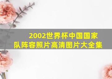 2002世界杯中国国家队阵容照片高清图片大全集