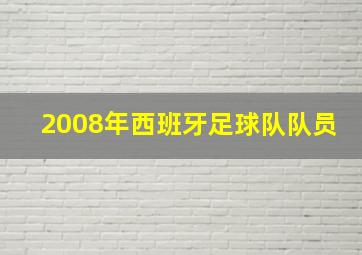 2008年西班牙足球队队员