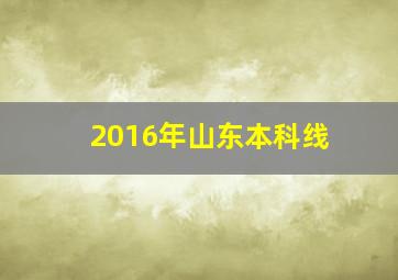 2016年山东本科线