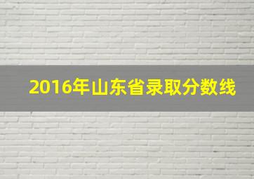 2016年山东省录取分数线