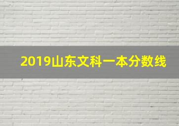 2019山东文科一本分数线