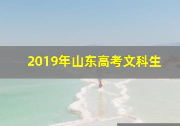 2019年山东高考文科生