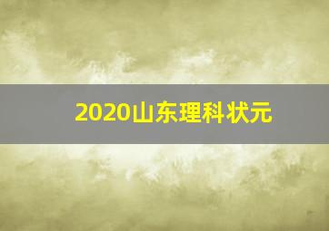 2020山东理科状元