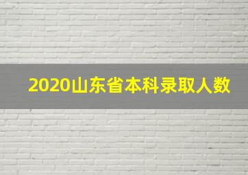 2020山东省本科录取人数