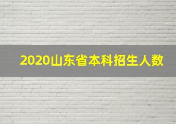 2020山东省本科招生人数