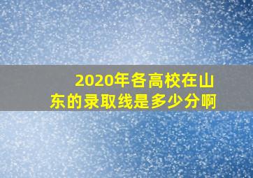 2020年各高校在山东的录取线是多少分啊