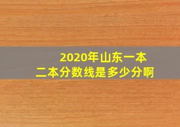 2020年山东一本二本分数线是多少分啊