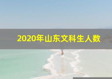 2020年山东文科生人数