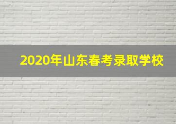 2020年山东春考录取学校