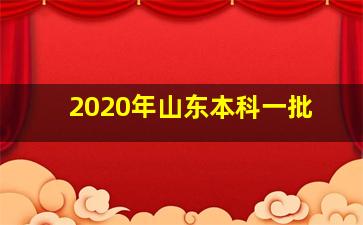 2020年山东本科一批